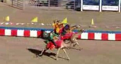 camel race