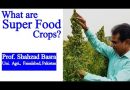 Newly introduced Super Food Crops by Dr. Shahzad Basra