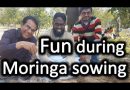 Making fun while Moringa sowing by Dr. Shahzad Basra