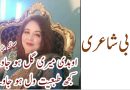 Salma Almas Punjabi Shaery