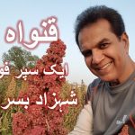 Documentary about Quinoa crop in Pakistan by Dr Basra In urdu