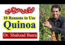 قنواہ کیوں اور کیسے استعمال کرنا چاہیئے – How and Why use Quinoa by Dr Shahzad Basra