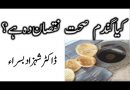 Drawbacks of eating too much wheat by Dr Shahzad Basra