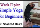 Simple Yoga for Beginners Week II plan